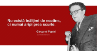 "Nu există înălțimi de neatins, ci numai aripi prea scurte." Giovanni Papini