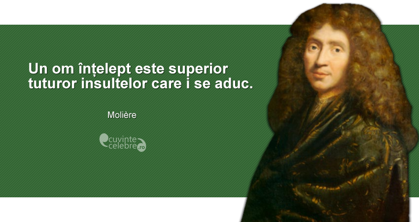 "Un om înțelept este superior tuturor insultelor care i se aduc." Molière