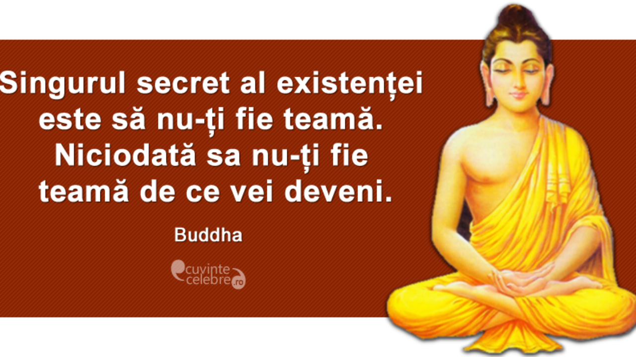 pierderea în greutate buddha livita cafea de slăbire