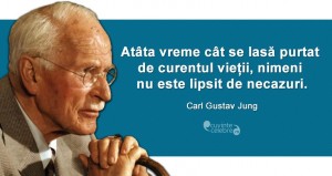 "Atâta vreme cât se lasă purtat de curentul vieții, nimeni nu este lipsit de necazuri." Carl Gustav Jung