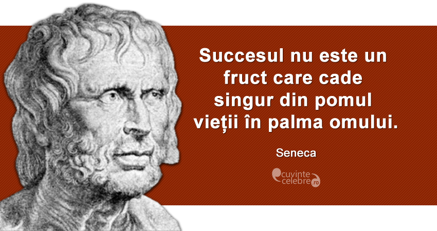”Succesul nu este un fruct care cade singur din pomul vieții în palma omului.” Seneca