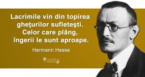 Citat Hermann Hesse