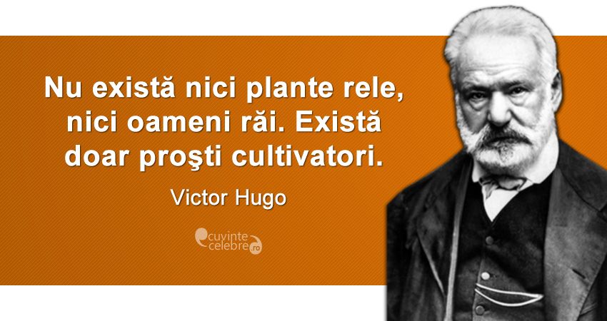 Citat Victor Hugo
